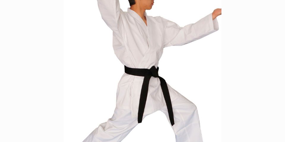 karate-img1