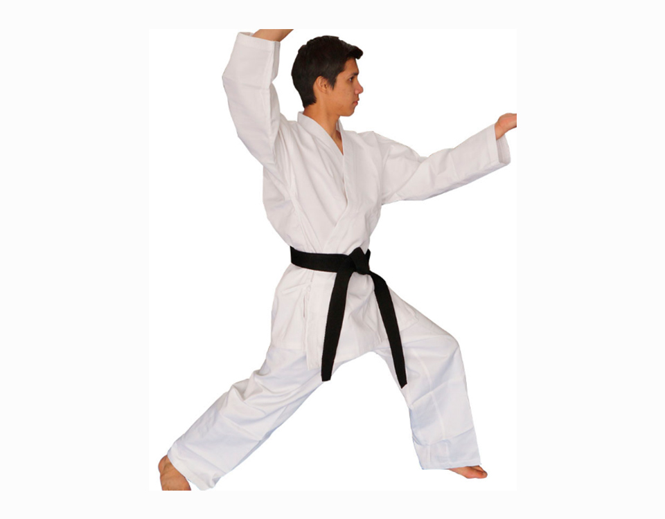 karate-img1