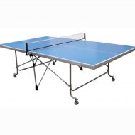 ping-pong-img1